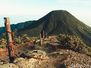 Gunung Gede Pangrango, Favorit Soe Hok Gie yang Sakral