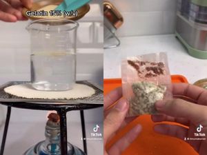 Keren! Eksperimen Edible Film Untuk Kemasan Mie Instan Ramah Lingkungan