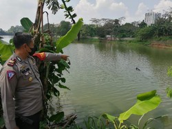 Kronologi Pesawat Latih Oleng Lalu Jatuh ke Danau Cibubur
