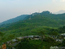 Weleh! Pedagang Puncak Bogor Ada yang Getok Harga