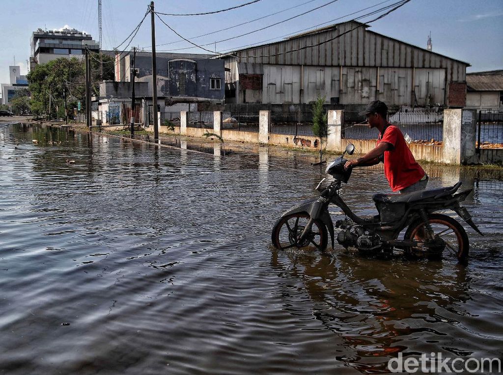 Luhut Sebut RI Sudah Rugi Rp 1.000 T Gara-gara Banjir Rob Luhut Sebut RI Sudah Rugi Rp 1.000 T Gara-gara Banjir Rob