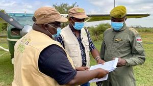 Libur Pandemi, Kenya Sensus Satwa Liar Gede-gedean