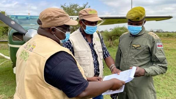 Libur Pandemi, Kenya Sensus Satwa Liar Gede-gedean