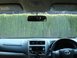 Gampang Banget! Supaya Kaca Mobil Tak Berjamur Lakukan Perawatan Ini