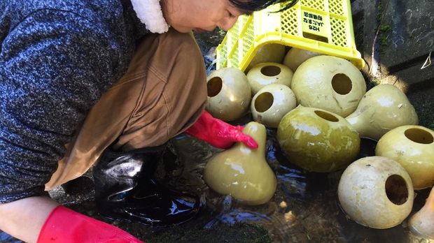 Hyotan Lamp Jepang Hyotan lamp merupakan lampu asal Jepang yang terbuat dari labu jenis gourd. Kulit gourd sudah dikeringkan dilubangi membentuk suatu pola digunakan sebagai penutup lampu sehigga pendar cahaya lampu membentuk pola tersebut.