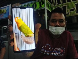 Ini Alasan Pria Asal Lamongan Tukar Mobil dengan Sepasang Burung Love Bird