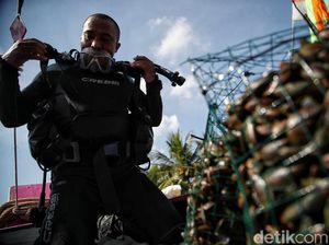 Restorasi Kerang Hijau untuk Jernihkan Laut Jakarta