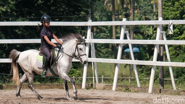Bisa untuk Isi Liburan, Begini Lho Manfaat Berkuda