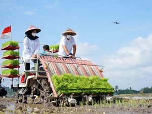 Banyuwangi Tanam Perdana Metode Agro Solution, Ini Harapannya Banyuwangi Tanam Perdana Metode Agro Solution, Ini Harapannya
