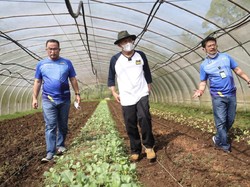 Kunjungan ke IPB, Mentan: Perguruan Tinggi Harus Jadi Rumah Inovasi