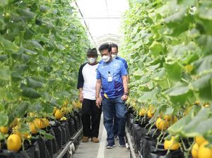 Kementan & Kemenkop Gandeng IPB Wujudkan Korporatisasi Sektor Pertanian