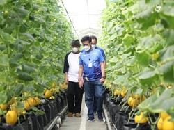 Kementan & Kemenkop Gandeng IPB Wujudkan Korporatisasi Sektor Pertanian