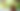 Foto: iStock
