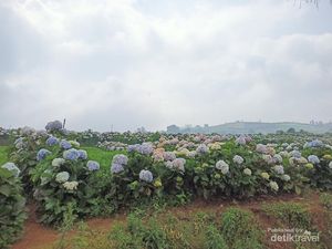 Puncak Brakseng, Permadani Alam Khas Batu Malang Puncak Brakseng, Permadani Alam Khas Batu Malang