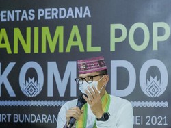 Sandiaga Dinobatkan Jadi Presiden... Presiden Pantun