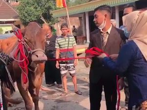 Viral Seserahan Pernikahan Sultan Nganjuk, Habis Berapa Duit?