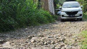 Duh, Akses ke Pusat Konservasi Elang Jawa Cimungkad Rusak dan Sempit