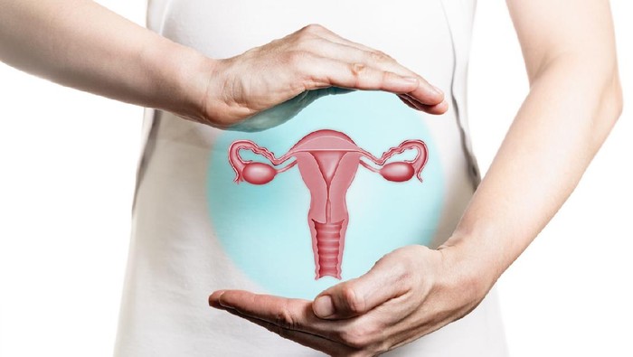 Ilustrasi Kanker Ovarium Image of a woman in a white dress and 3d versi of the reproductive system of women above her hands. Concept of a healthy female reproductive system.