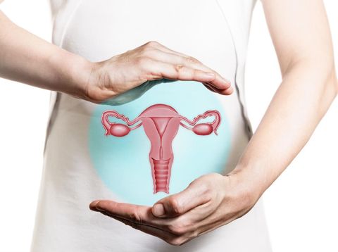 Image of a woman in a white dress and 3d model of the reproductive system of women above her hands. Concept of a healthy female reproductive system.