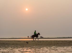 Tragis! Wisata Boncos karena Pandemi, Kuda-kuda Mati Kelaparan Tragis! Wisata Boncos karena Pandemi, Kuda-kuda Mati Kelaparan
