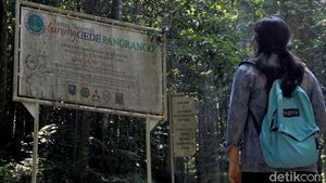 Mengunjungi Pusat Konservasi Elang Jawa di Cimungkad Sukabumi