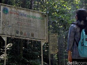 Mengunjungi Pusat Konservasi Elang Jawa di Cimungkad Sukabumi Mengunjungi Pusat Konservasi Elang Jawa di Cimungkad Sukabumi