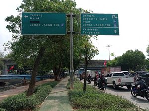 Warga Harap Pohon Besar Dekat Penunjuk Arah di Daan Mogot Juga Dipangkas