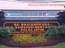 Apa Alasan Baby Sitter Vanessa Angel Dipindah ke RS Bhayangkara