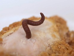 Jijik! Asyik Makan Burger, Wanita Ini Baru Sadar Burgernya Penuh Belatung