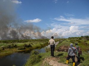 Lahan di Ogan Ilir Kembali Dilahap Si Jago Merah