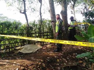 Kena Jantung Mendadak Saat Panjat Pohon Kelapa, Pria Ini Jatuh dan Tewas Kena Jantung Mendadak Saat Panjat Pohon Kelapa, Pria Ini Jatuh dan Tewas