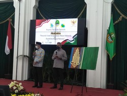 Bantu Rakyat Palestina, Ridwan Kamil Lelang Lukisan Hasil Karyanya