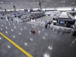 Gegara Penyu, Bandara Narita Jepang Tutup 12 Menit