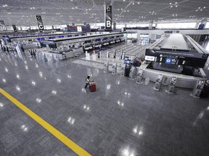 Gegara Penyu, Bandara Narita Jepang Tutup 12 Menit Gegara Penyu, Bandara Narita Jepang Tutup 12 Menit