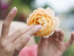 Waspada! Ini 4 Penyebab Rambut Putih di Area Kemaluan