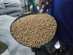 Perajin Tahu dan Tempe di Sidoarjo Keluhkan Naiknya Harga Kedelai