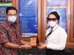 Waket MPR Dorong Penerbangan Internasional ke Bali Dibuka, Asal...