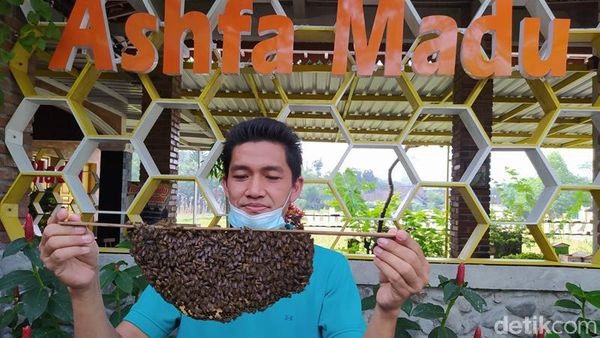 Foto: Ashfa Madu, Wisata Edukasi Asyik Tak Jauh dari Candi Borobudur