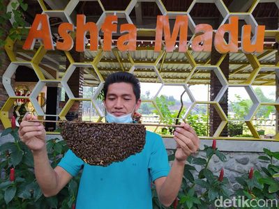 Foto: Ashfa Madu, Wisata Edukasi Asyik Tak Jauh dari Candi Borobudur