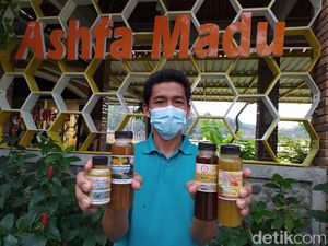 Wisata Edukasi Ternak Lebah di Borobudur, Manis Madunya Bikin Ketagihan Wisata Edukasi Ternak Lebah di Borobudur, Manis Madunya Bikin Ketagihan