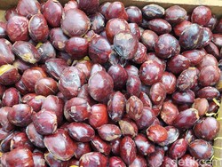 Harga Jengkol Meroket ke Rp 60.000/Kg tapi Tetap Laku, Siapa yang Beli?