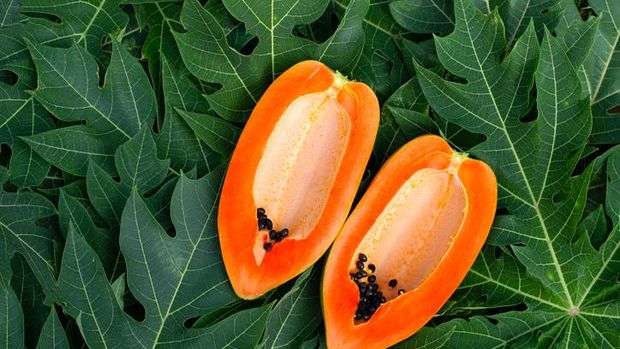 7 Manfaat Daun Pepaya untuk Kesehatan, Sehatkan Pencernaan hingga Kulit