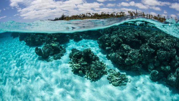 Clear seawater bathes a coral reef fringing a beautiful tropical island in the South Pacific. This specific island is Isle des Pins, located near New Caledonia.