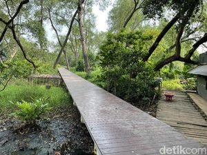 Hari Hutan Indonesia, Ini Secuil yang Instagenik