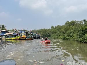 Banjir dan Permukiman Liar Bayang-bayangi Suaka Margasatwa Muara Angke