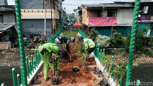 Cegah Tawuran, Jembatan Kota Paris Diubah Jadi Taman
