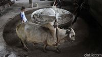 Foto: Menjaga Cita Rasa Mie Lethek, Diproduksi dengan Bantuan Sapi