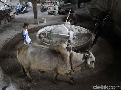 Foto: Menjaga Cita Rasa Mie Lethek, Diproduksi dengan Bantuan Sapi