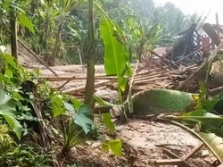 Longsor Terjang Dua Desa di Cianjur, 5 Rumah Rata dengan Tanah