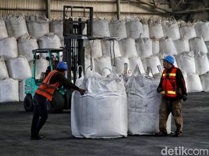 Petani Tolak Rencana Impor Gula: Stok Cukup Sampai Tahun Depan